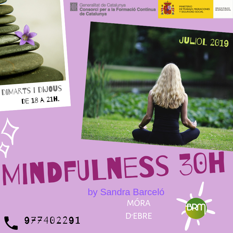 65246867_2324682964517765_660718561722892288_n