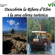 curs cuina demostracio curs cuina