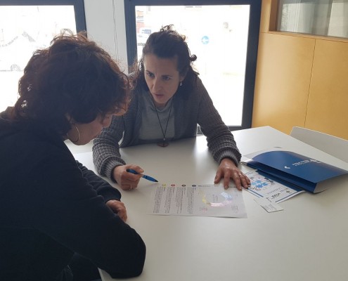 Mètode Gronhölm seleccio per competencies Ribera d'Ebre VIVA