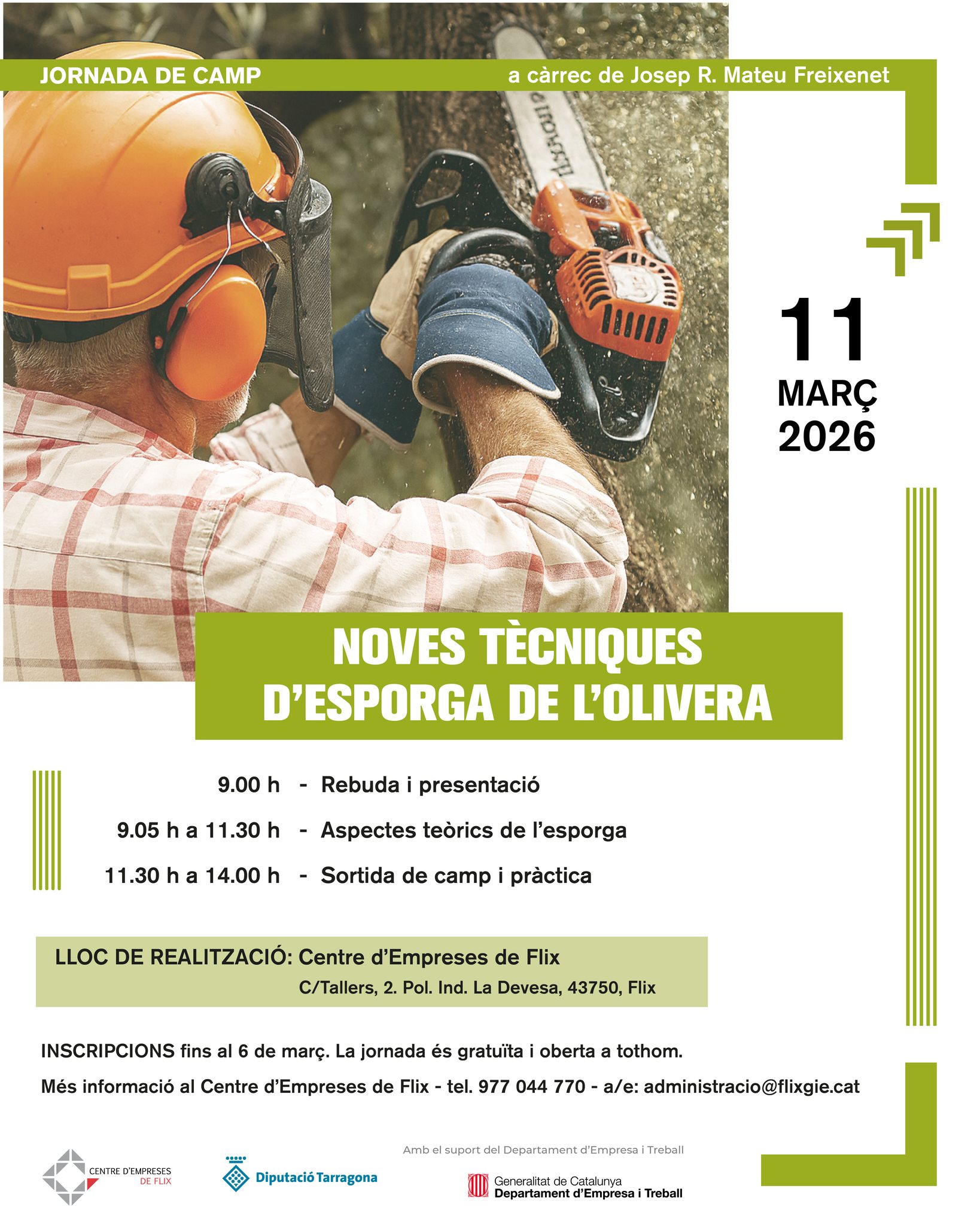 Formació esporga d'olivera