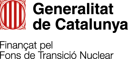 fons_transicionuclear